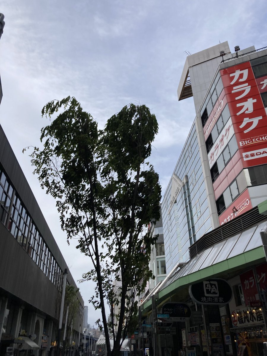 otabe 0796 tweet media