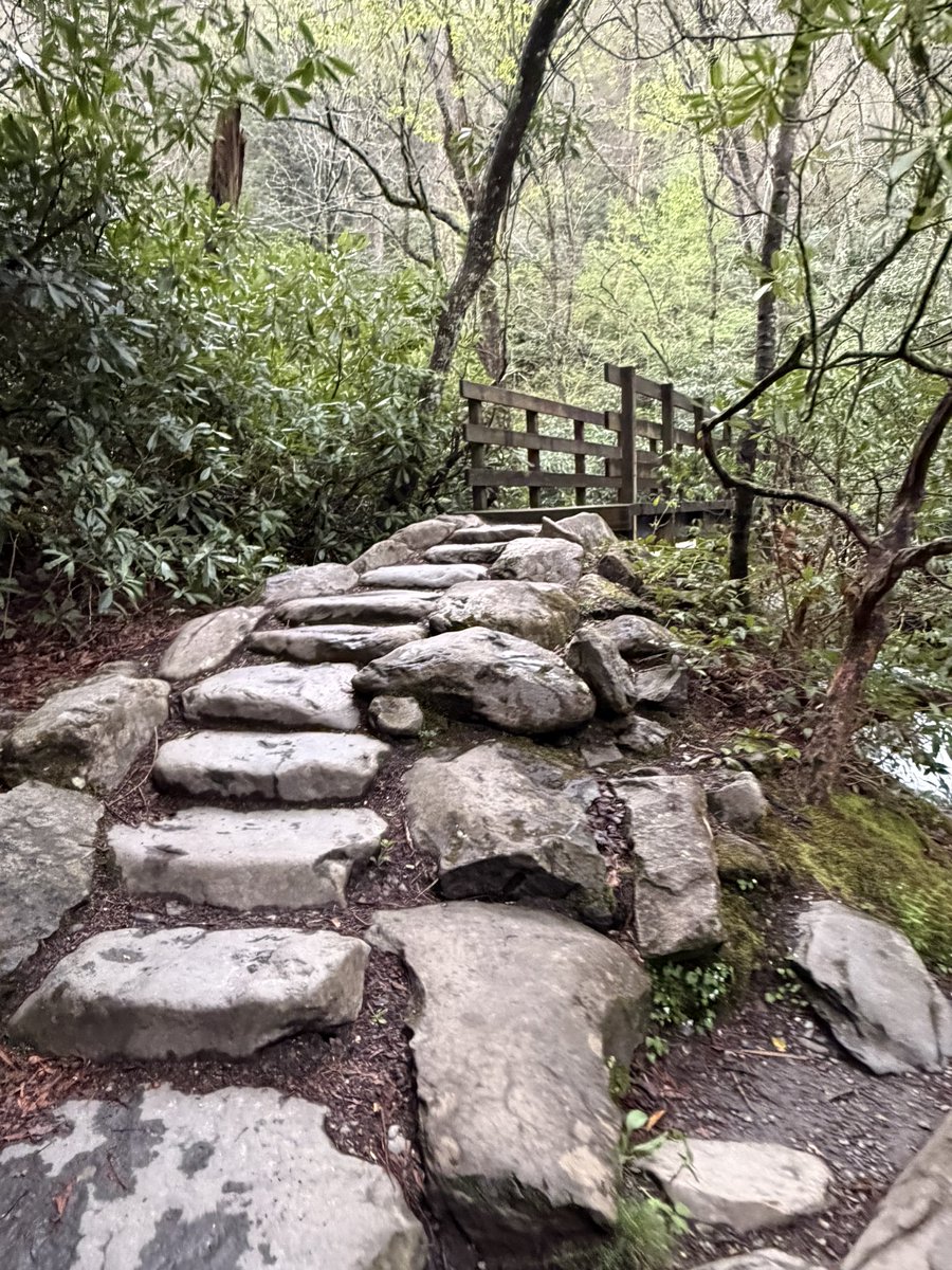 KennepohlEdward's tweet image. A nice start to Sunday morning. 😊
Chimney Tops Trail 🥾 😊
3.8 miles, 1407’ ele gain 
4328’ max ele
Great Smoky Mountains National Park
#travel #hiking #mountains #nature #Tennessee