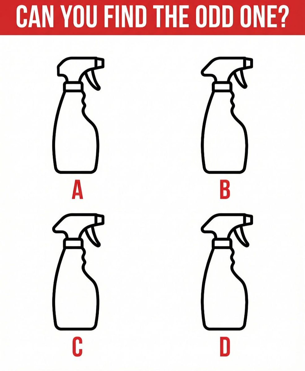 Jewel 🌗 tweet media