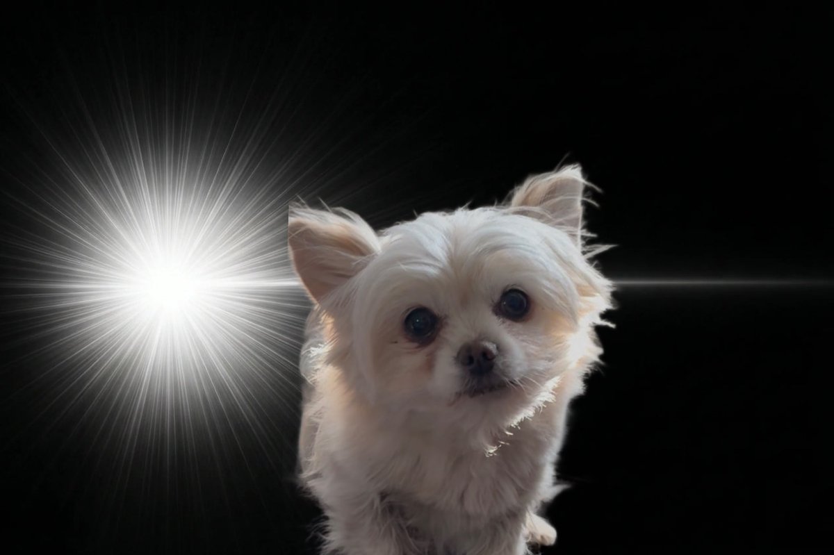 ryosuke首都圏コンサルティング代表 tweet media