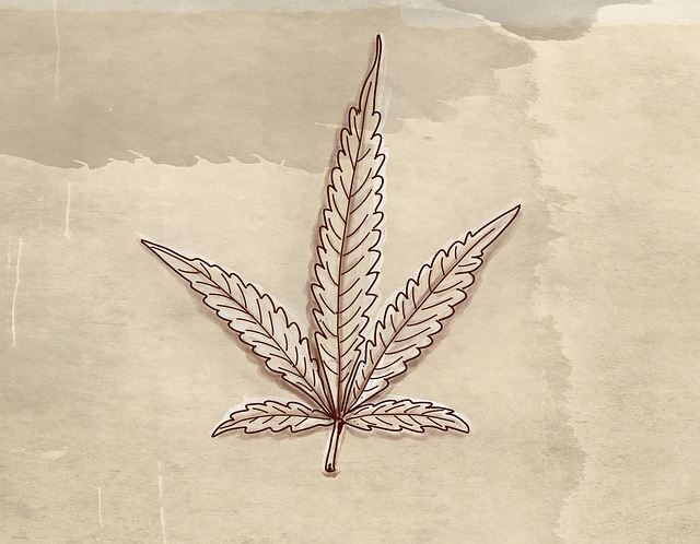 Kristin Bowen tweet media