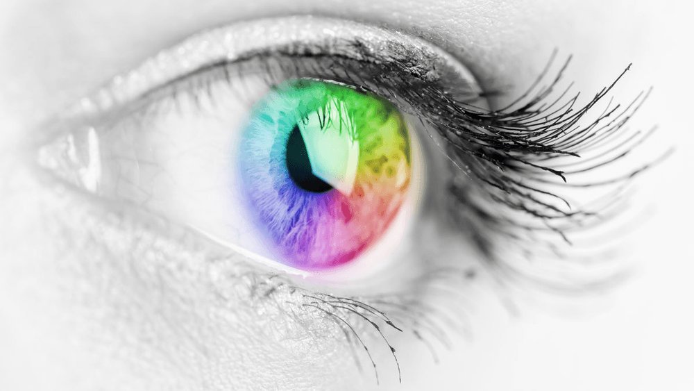 これまで存在しなかった新しい色「olo」を視神経への刺激で見せることに成功(2025)