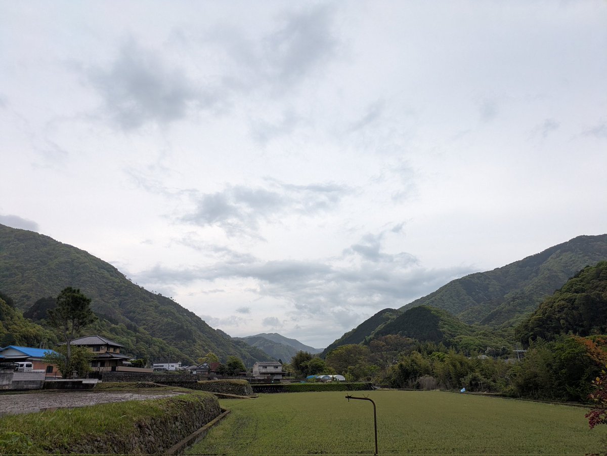 三嶋製麺所 tweet media