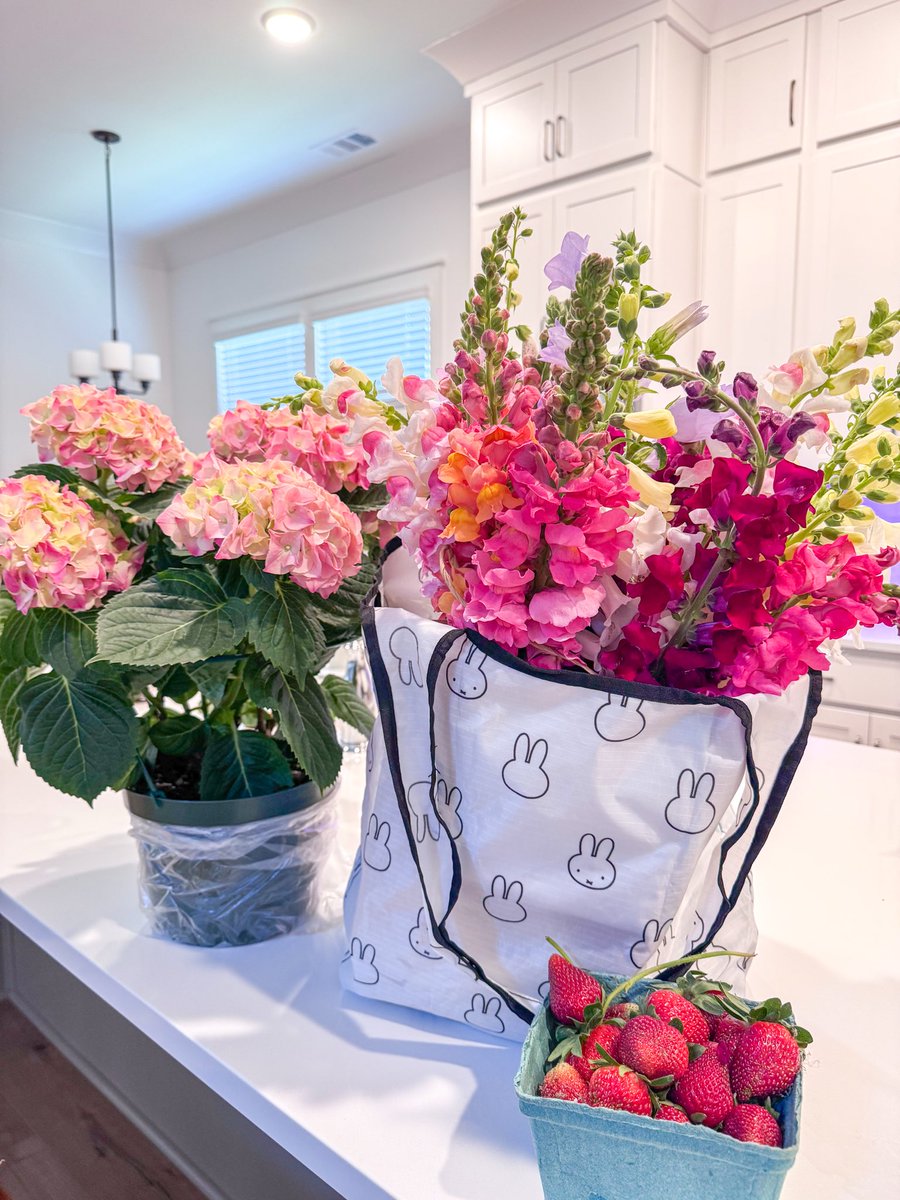 hanii 🐁🖤 tweet media