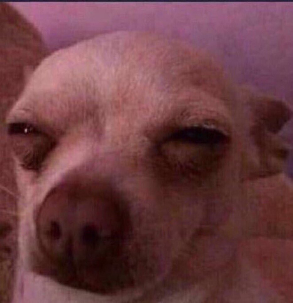 اسامة tweet media