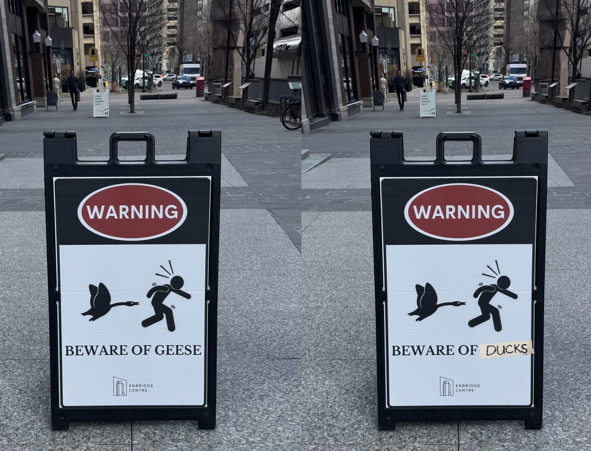 x - Anaheim Ducks tweet media