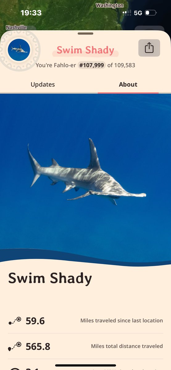 layne x🦇🐧 tweet media