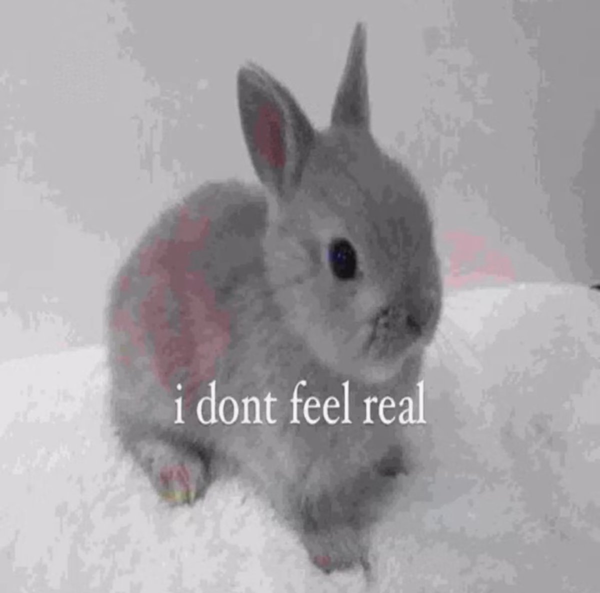 marnie (@abyssal_defiant) on Twitter photo 