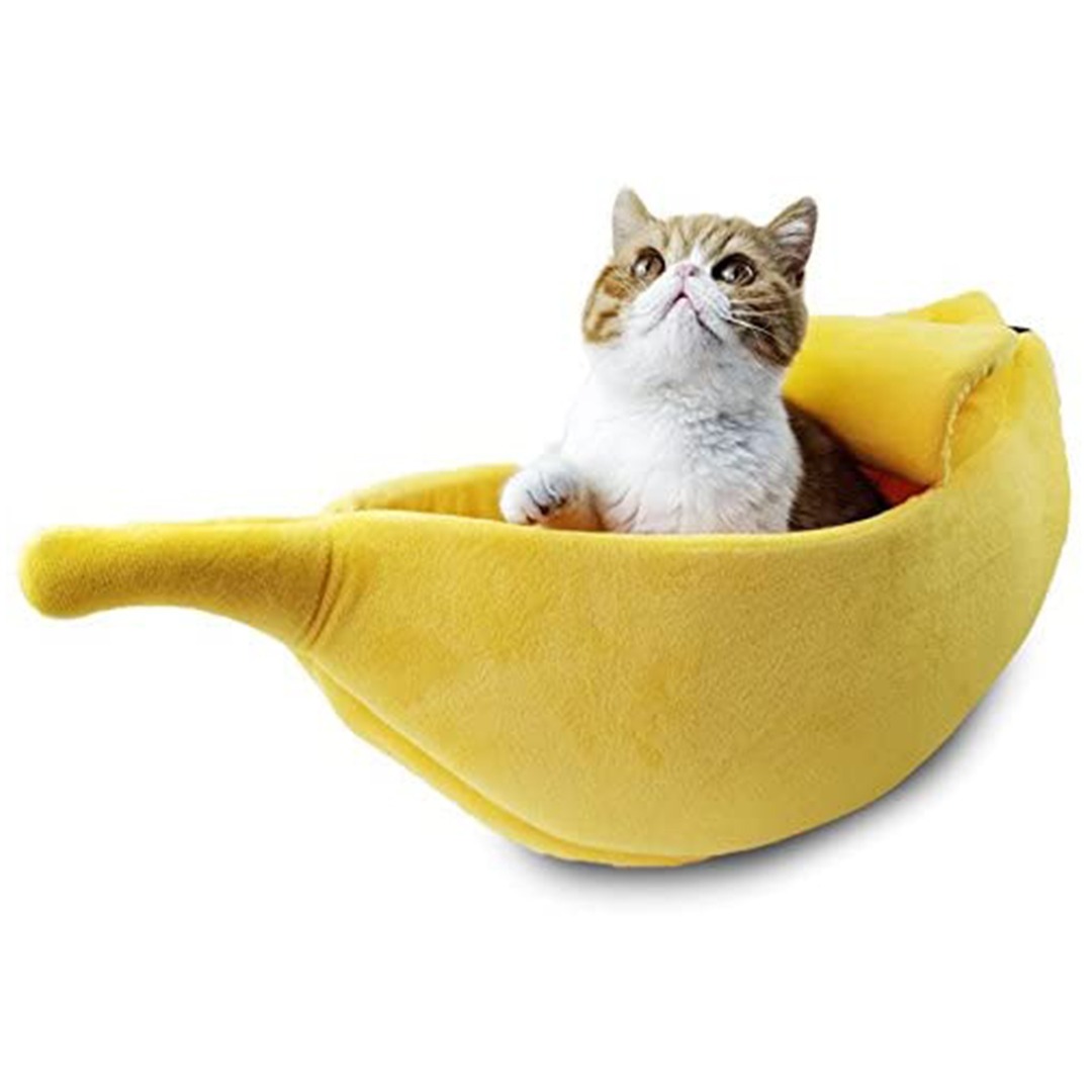 UnicunShop's tweet image. Did you know cats sleep up to 15 hours a day? 💤 Give your feline friend the purrfect slumber spot with our Banana Cat Bed!  unicun.com/product/banana…  #catbed #catsofinstagram #petproducts