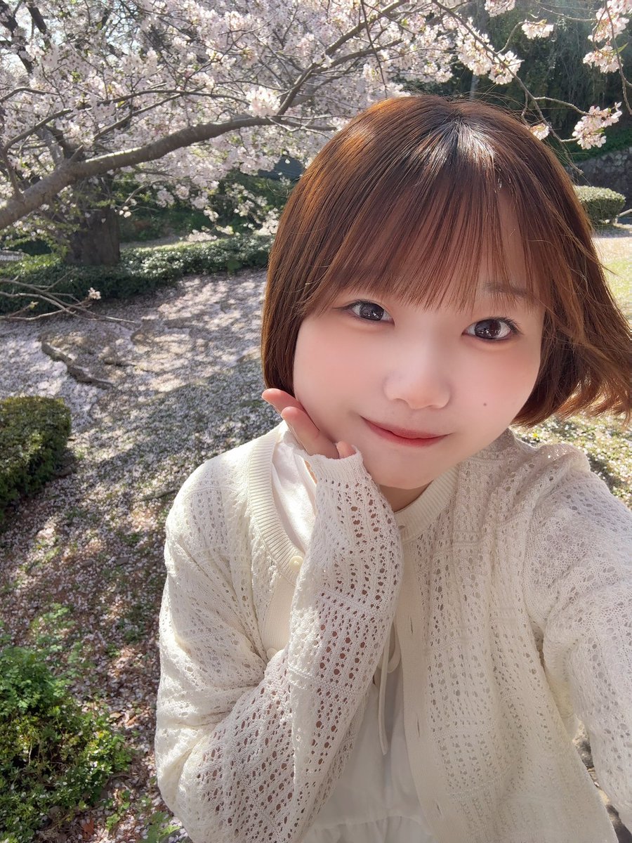 ゆい＠Niimo🧸🤍 tweet media