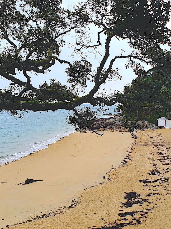 ArtsVoyage's tweet image. Head to this fab #island off the coast of France in spring &amp;amp;/or fall to avoid the crowds! Discover #France’s La Vendée Region: 11 Great Reasons To Visit Noirmoutier Island tinyurl.com/bdx48hh5
#noirmoutierpassionnement #envendee