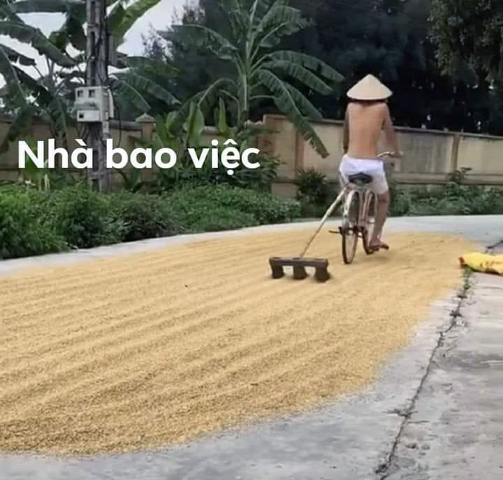 Vuilachinh67890 tweet media