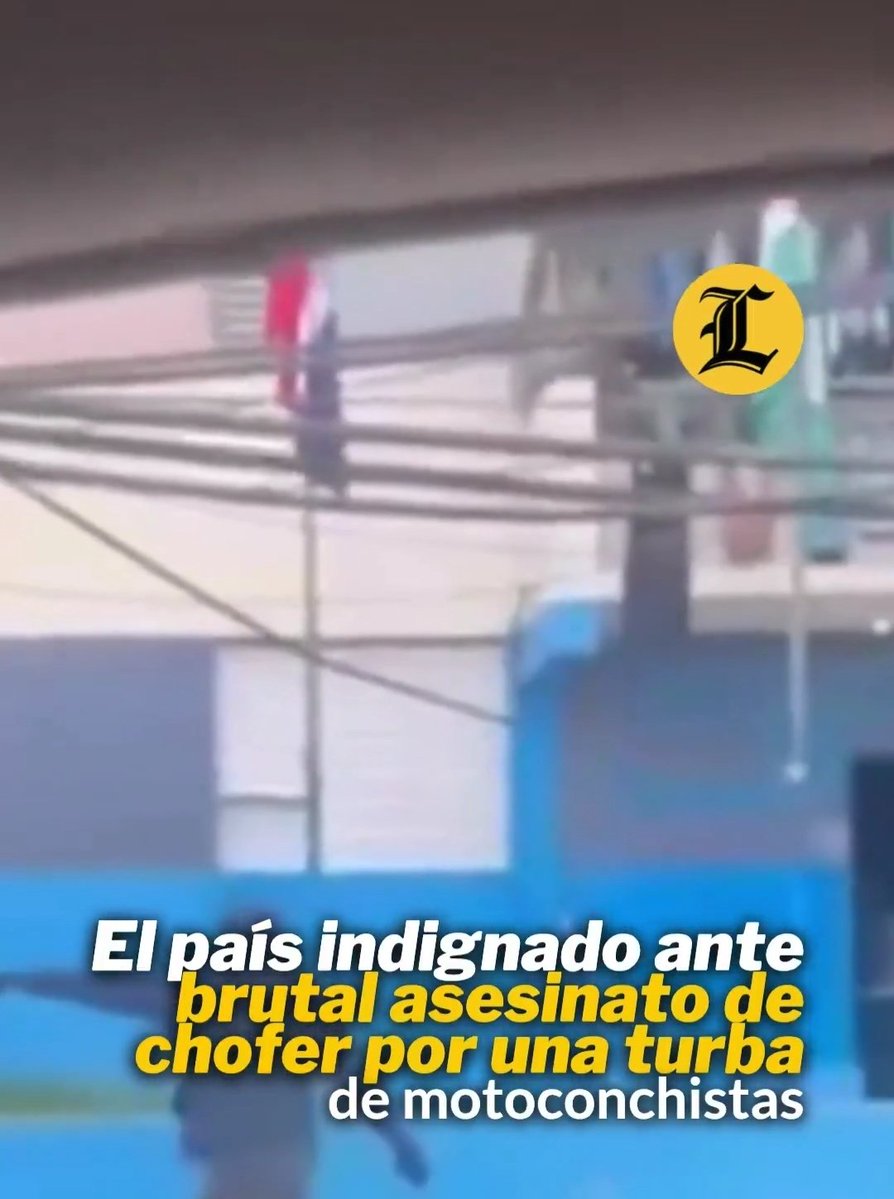 Reynel tweet media