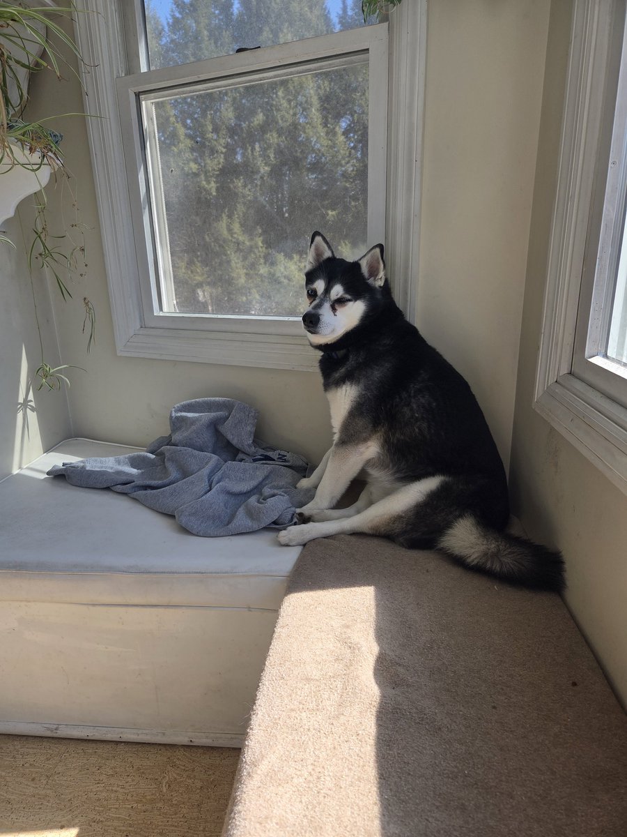 Jerome Moynihan tweet media