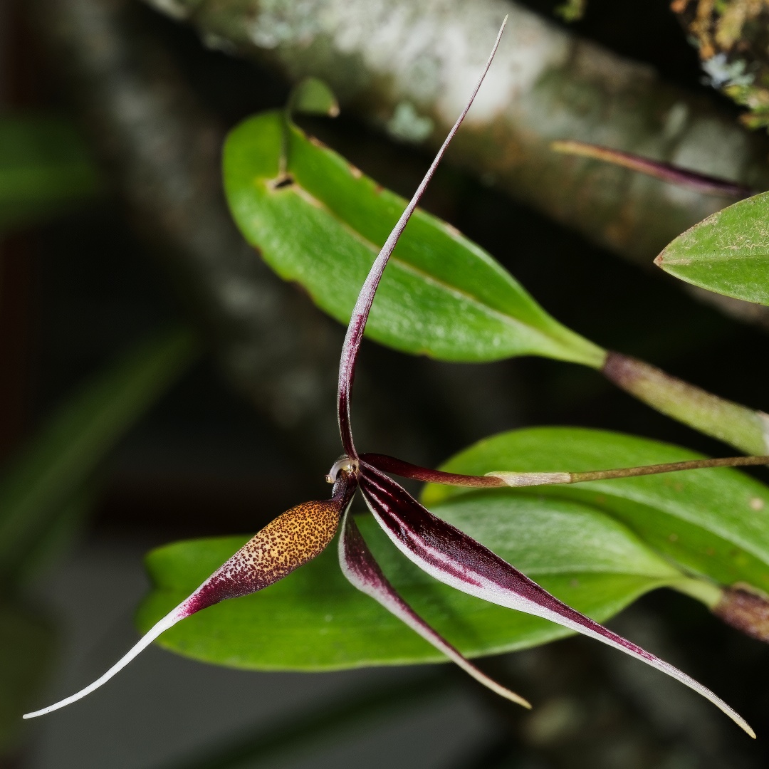 Kurt Metzger tweet media