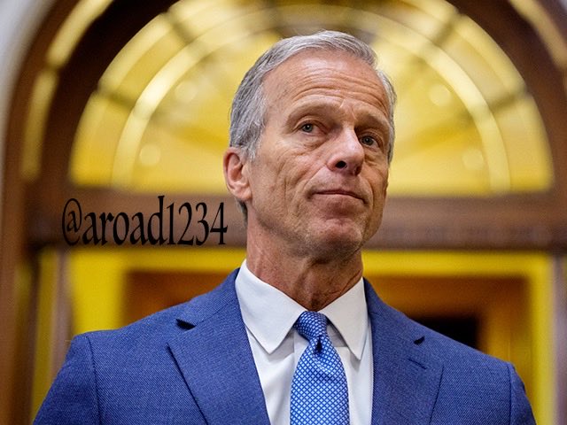 RemoveThune