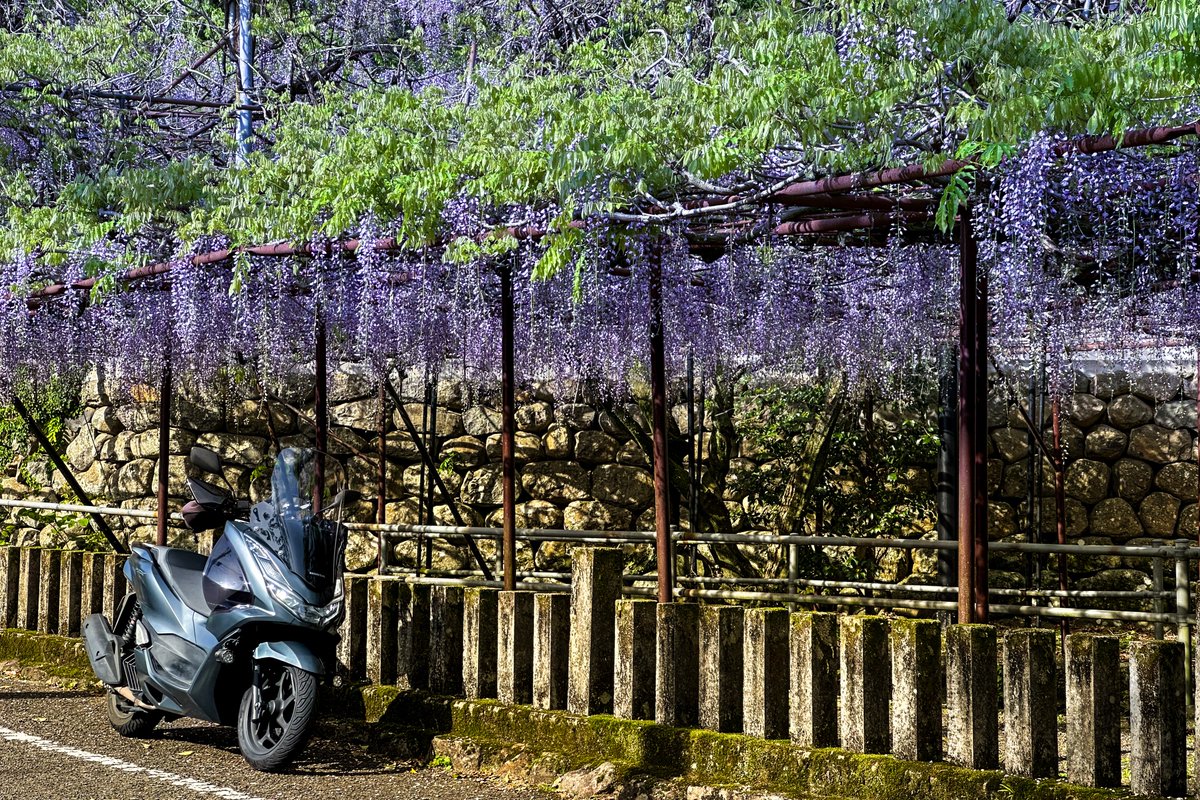 ユウヒト tweet media