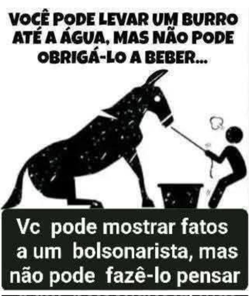 Antonio Cappellari VERGONHA (@cappellarianton) on Twitter photo 