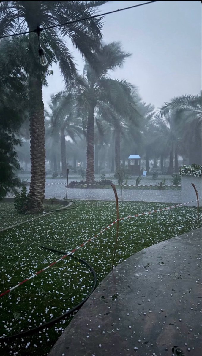 عزوز tweet media