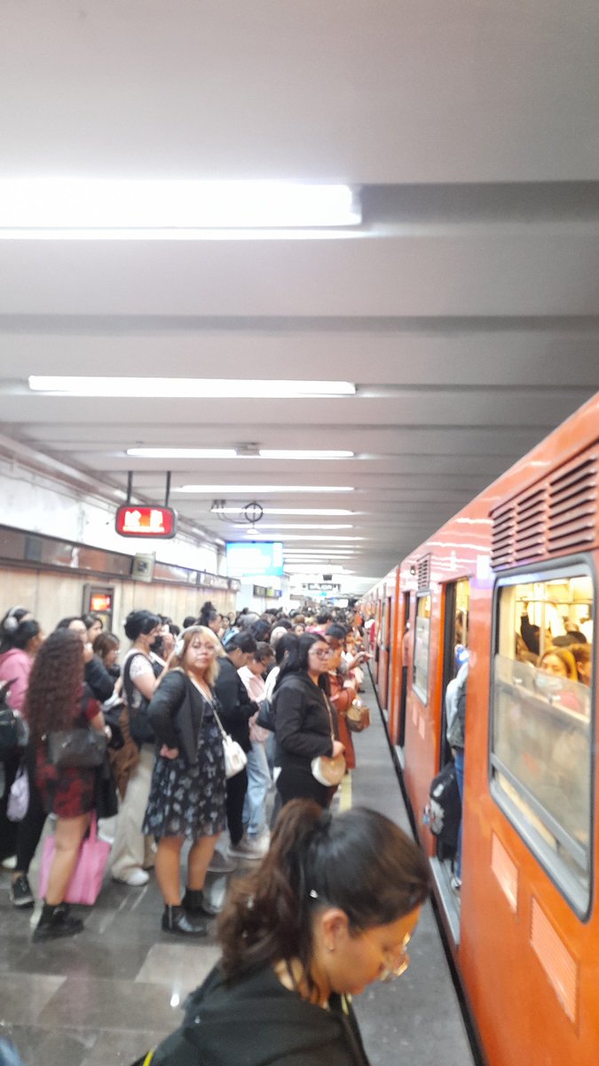 Maribel Fajardo tweet media