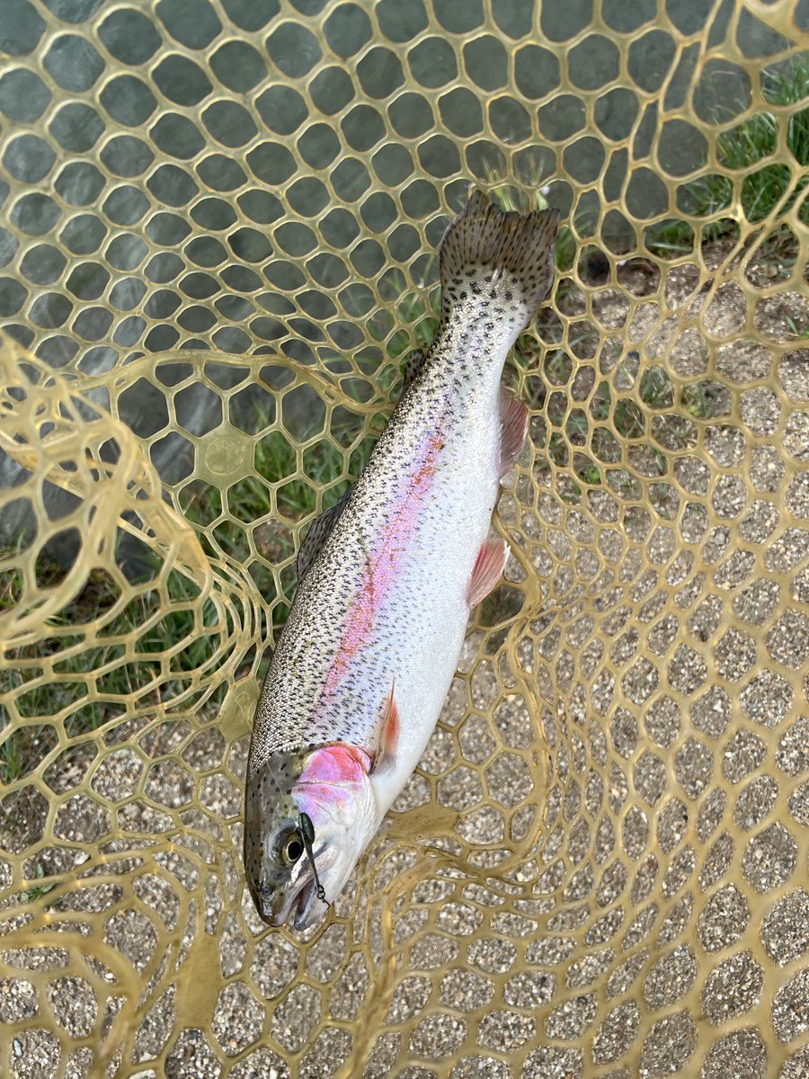 モニャ〜タ tweet media