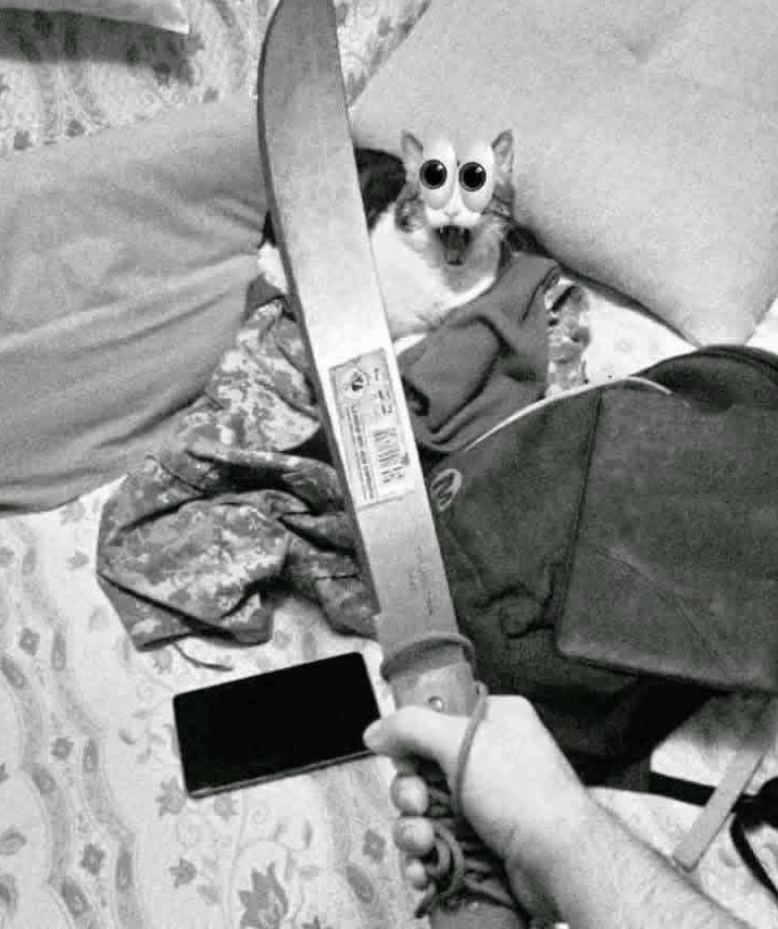 FernieArc tweet media