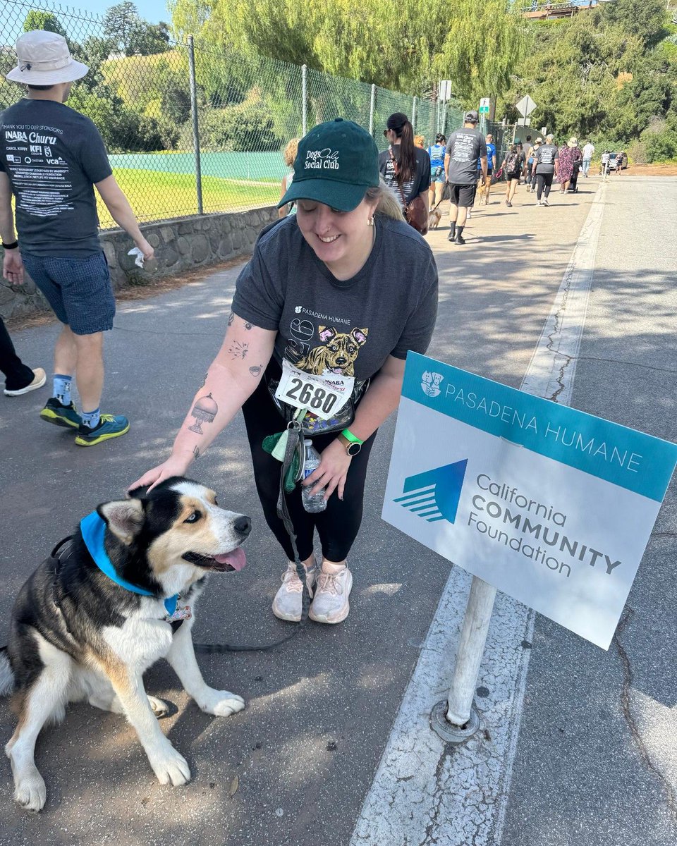 calfund's tweet image. Out in Pasadena this weekend for Pasadena Humane’s Wiggle Waggle Walk &amp;amp; Run 🐾💙

We’re proud to support Pasadena Humane, including their recent work caring for 1,500 animals affected by the Eaton Fire. 

#DogsOfLA #AnimalCare #PetRescue #LosAngeles