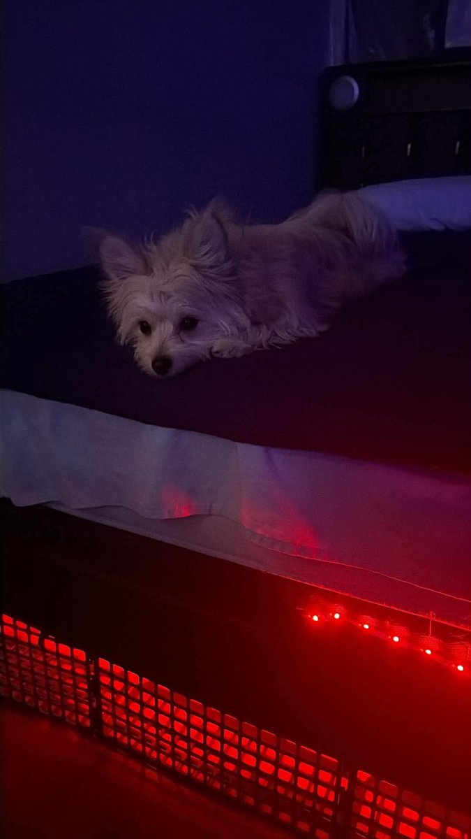 MyPerseverance tweet media