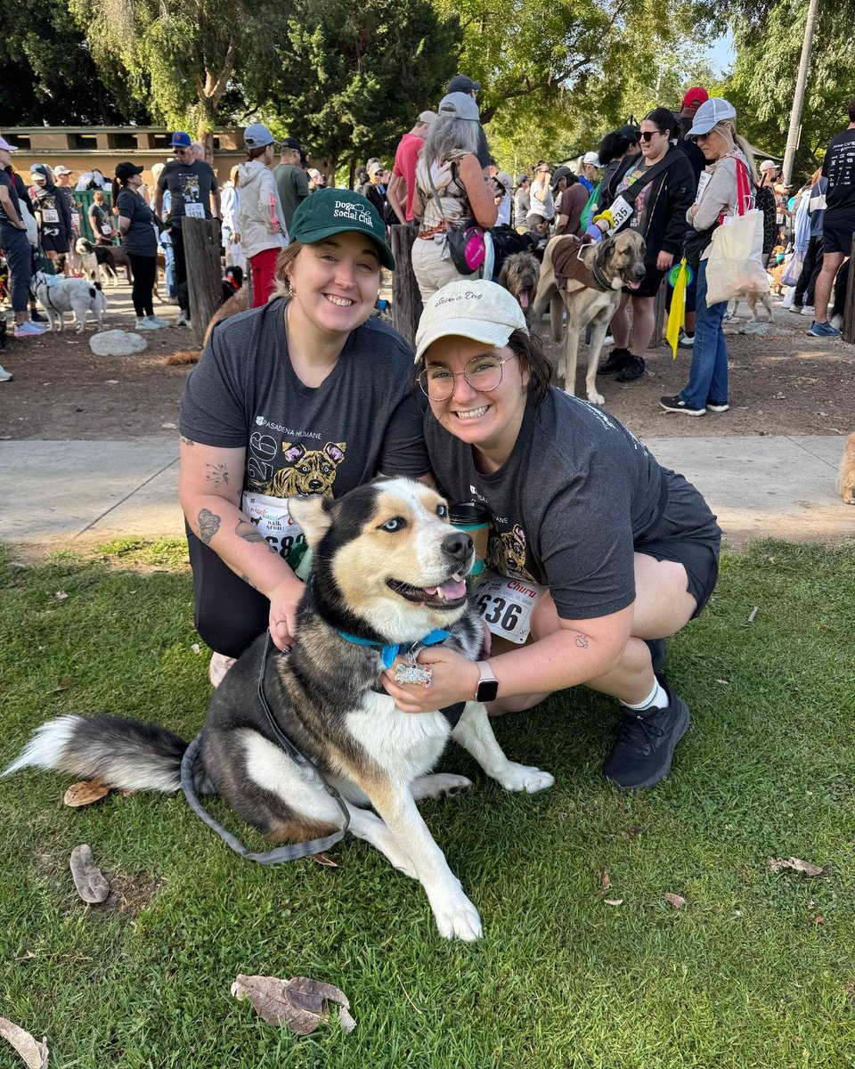 calfund's tweet image. Out in Pasadena this weekend for Pasadena Humane’s Wiggle Waggle Walk &amp;amp; Run 🐾💙

We’re proud to support Pasadena Humane, including their recent work caring for 1,500 animals affected by the Eaton Fire. 

#DogsOfLA #AnimalCare #PetRescue #LosAngeles