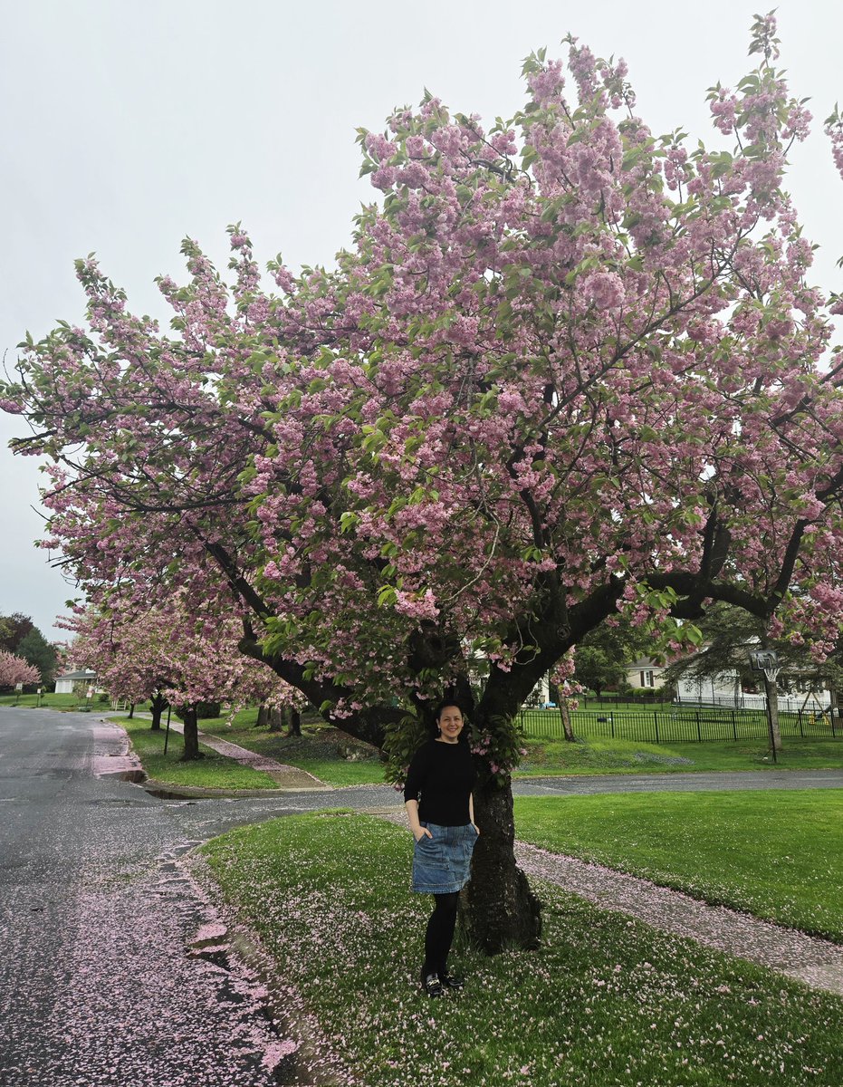 AriMd2021's tweet image. Spring is coming #springcelebration2026 #Springtime  #spring #happiness #cherry #bloom