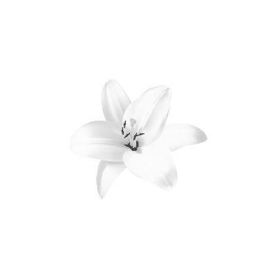 ᅠᅠᅠᅠ 𝕶ANDY. tweet media