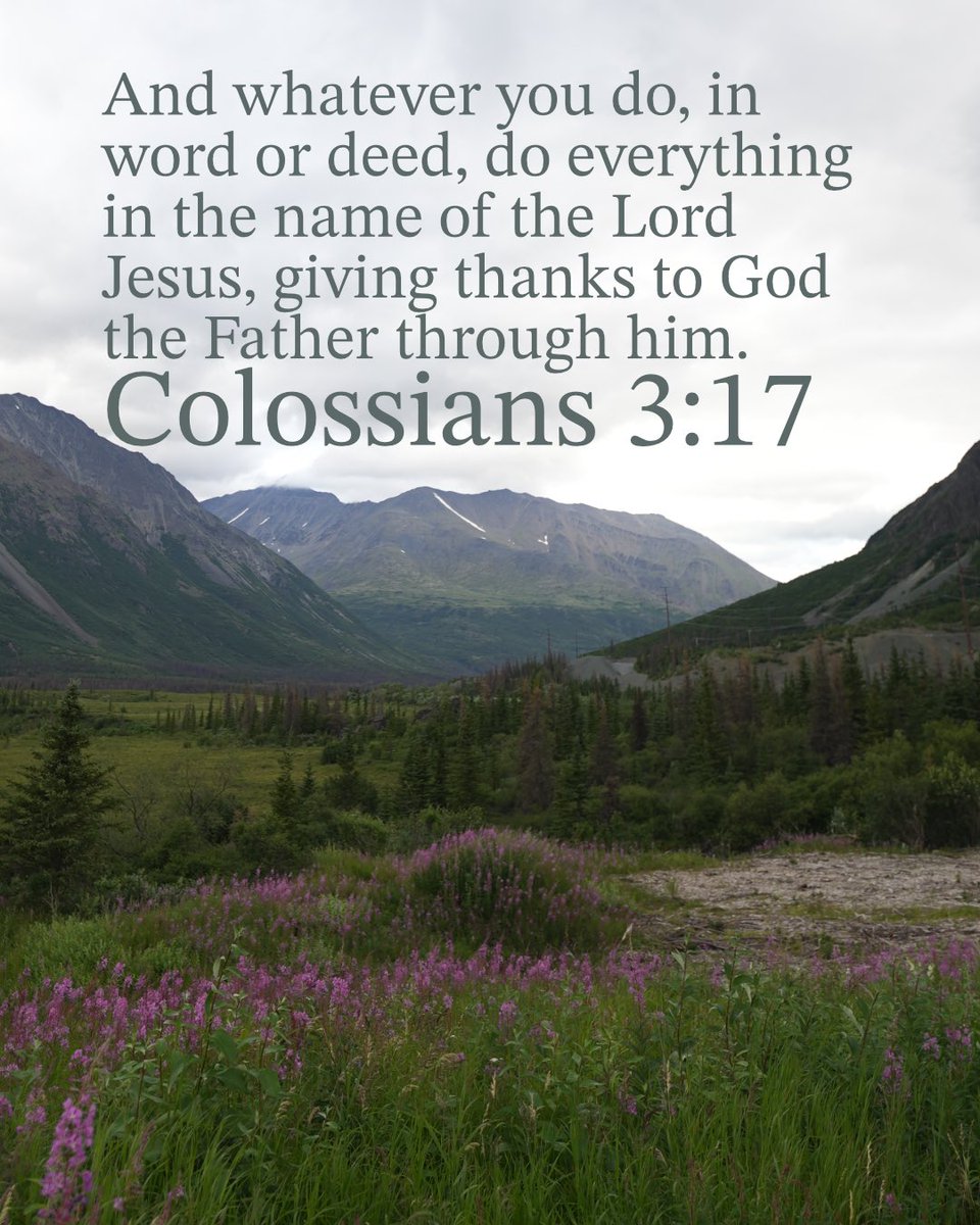 Read the Bible: Colossians 3:17 #bible #christian #love #Jesus

Bible verse to reflect on, inspiration faith quotes, Christian encouragement, popular verses about God, Jesus Christ gospel, Christians,