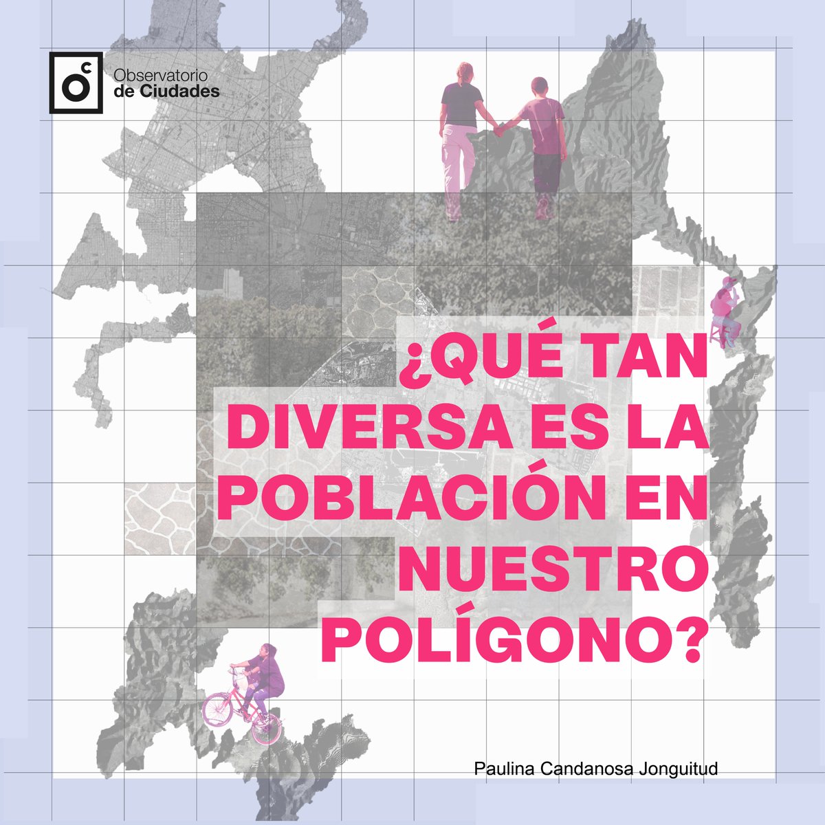 Observatorio de Ciudades tweet media