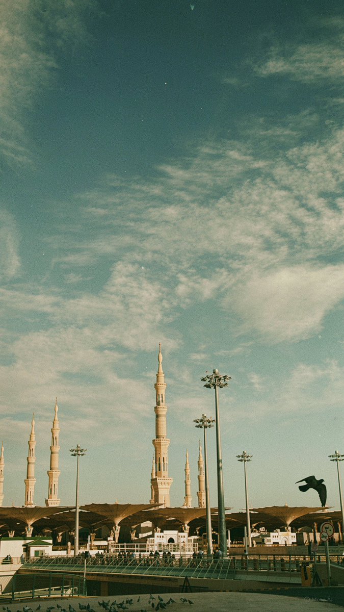 رهـف tweet media