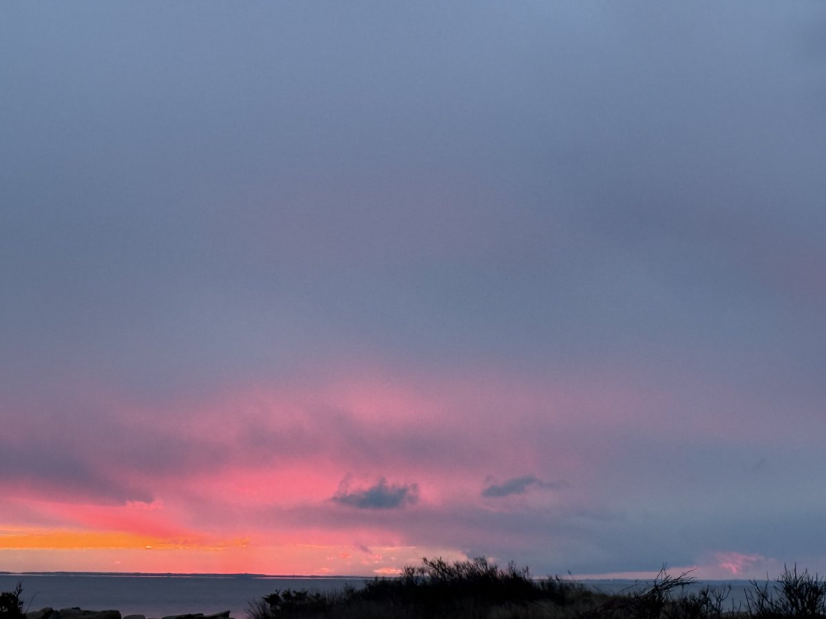 mmuhlfelder's tweet image. It’s the best day of the year in Boston and ended nicely on #capecodbay. The #calmocean is medicinal
