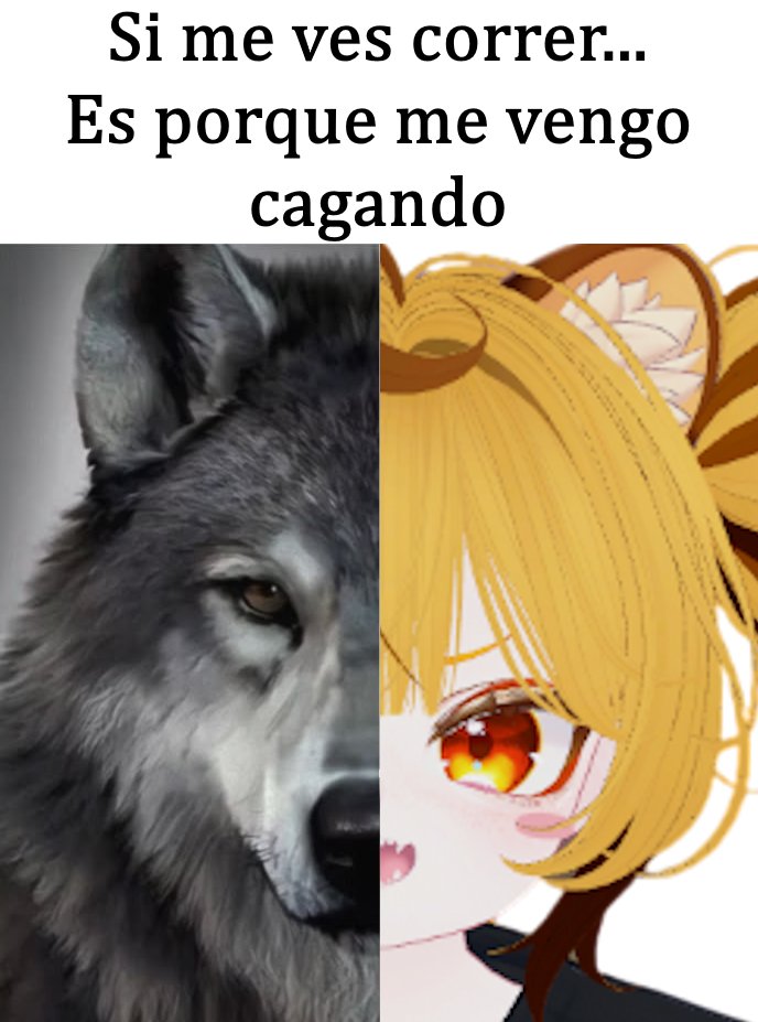 ChikoUPDS 🦡⚡ tweet media