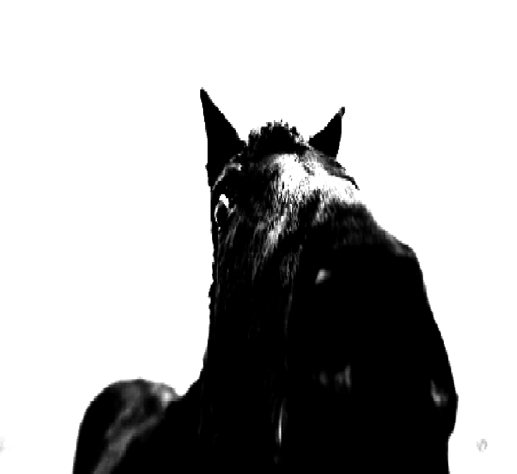 grease16180339's tweet image. #horse