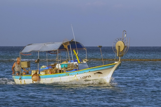 Isabel Ford tweet media