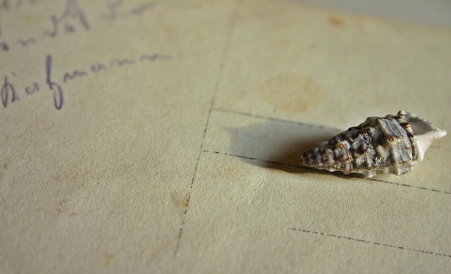 Erica Karen tweet media