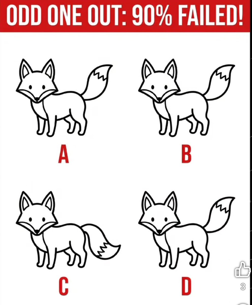 Hina Afridi tweet media