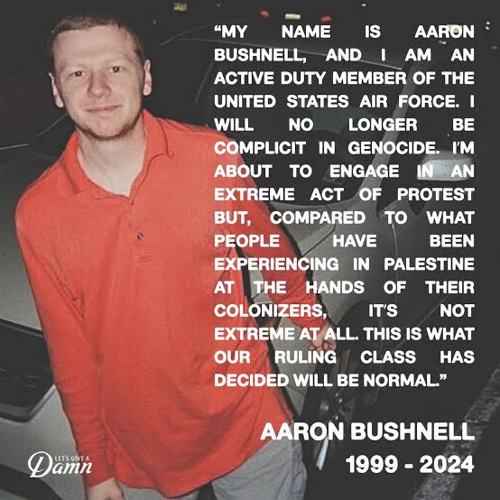 cH4T_qU1_V0m1T φ 🐢 𓂆 🇵🇸 ☫ tweet media