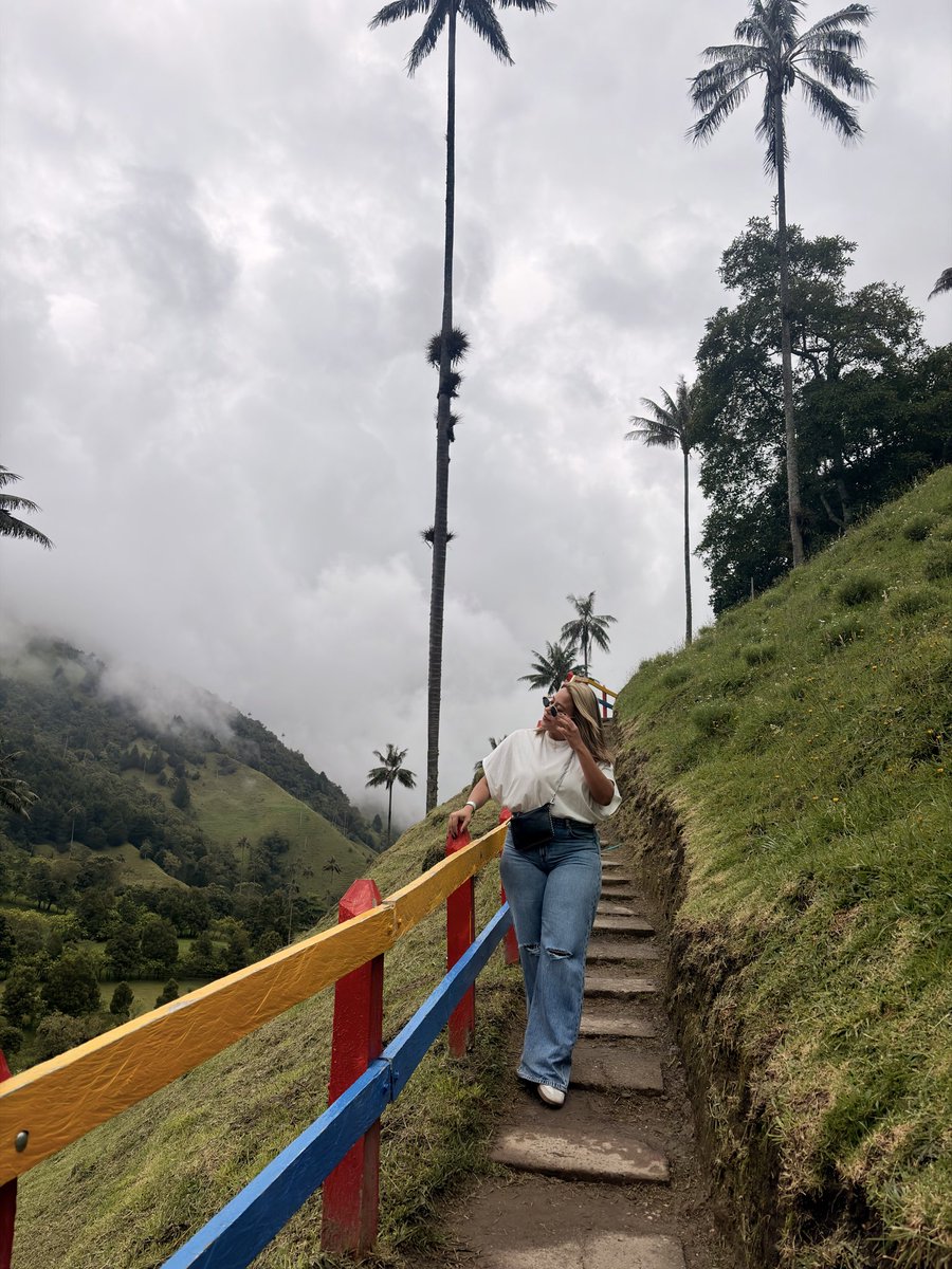 María Camila tweet media