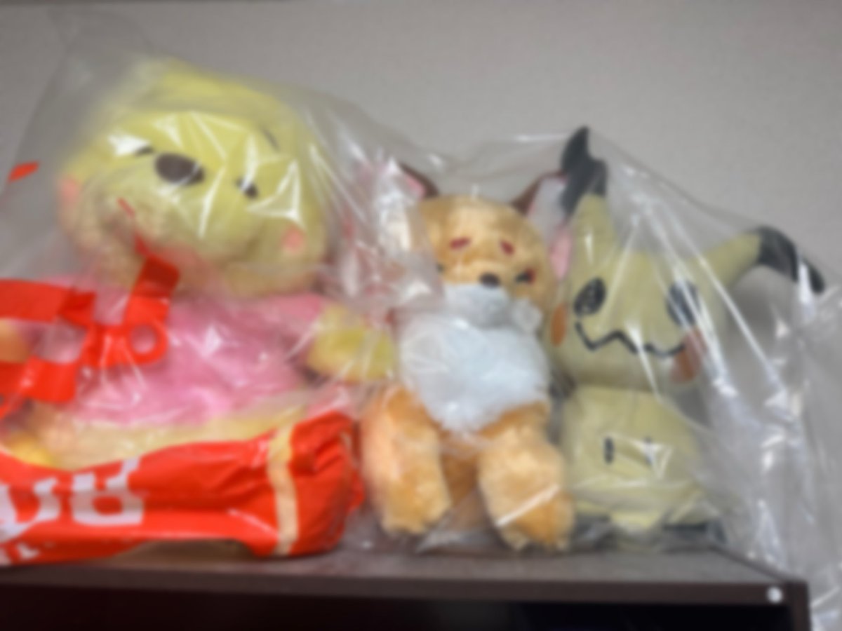 うちのかわいい子たちー
変なのうつってたらゆるして