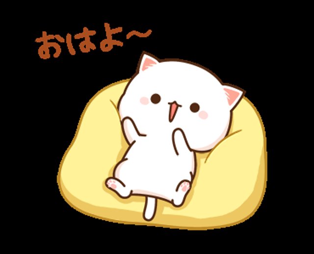 skywalker tweet media