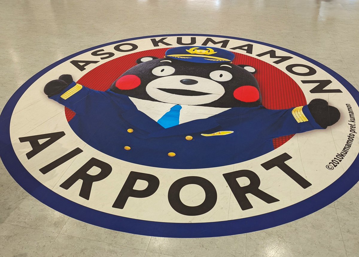 豆猫堂 tweet media