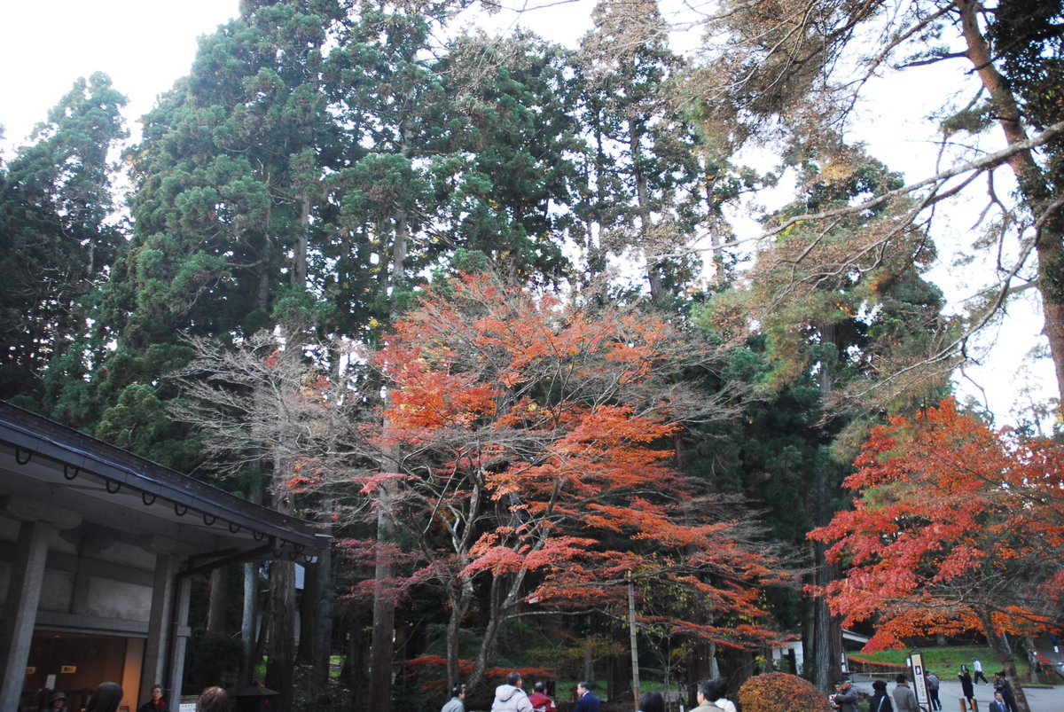 33miura's tweet image. 中尊寺
 
#Cameras
#Leica
#NIKON