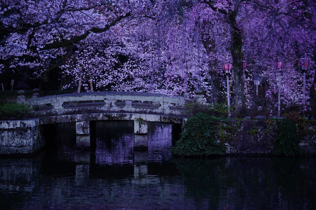 just violet mood tweet media