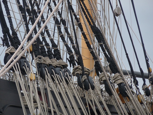 Adeline Stewart tweet media