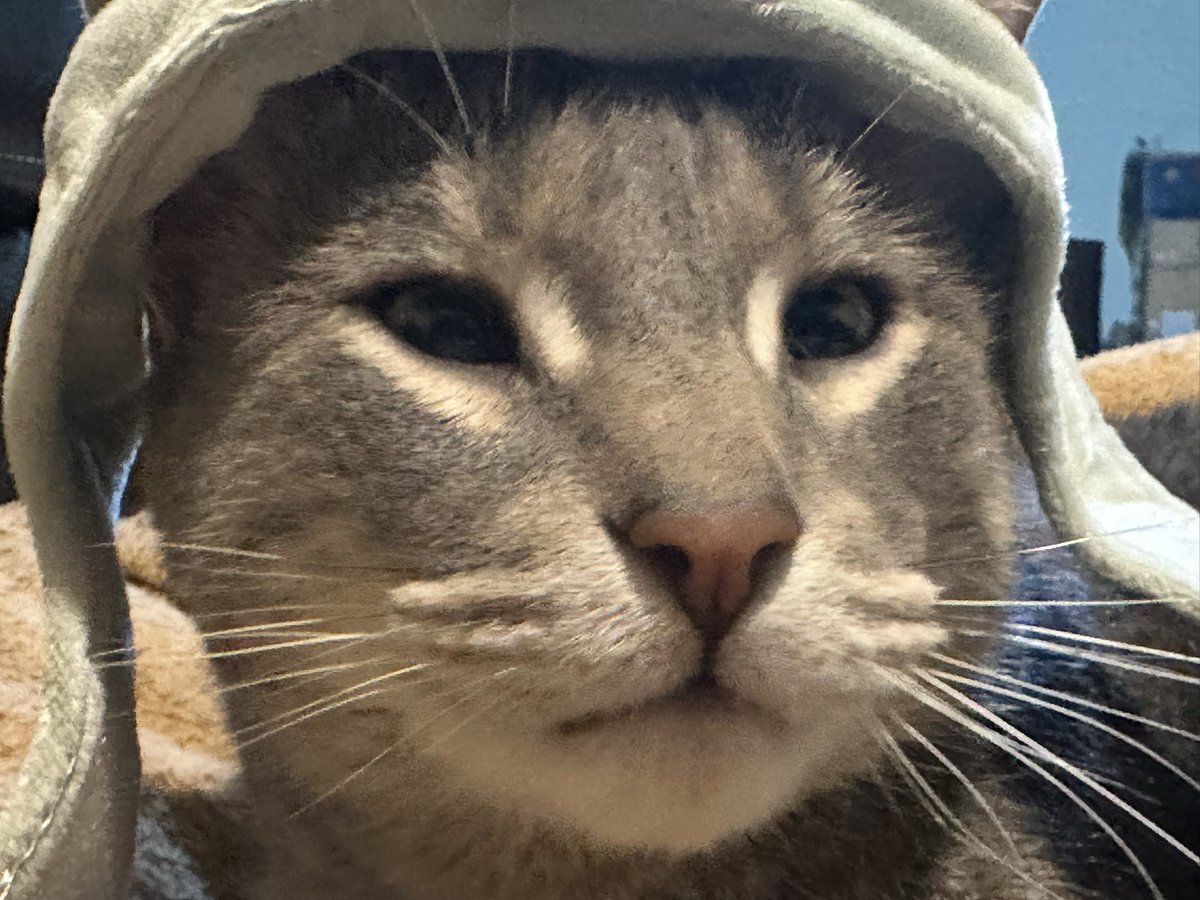 𝑚𝑎𝑟 🇨🇱 VERÉ A BTS tweet media