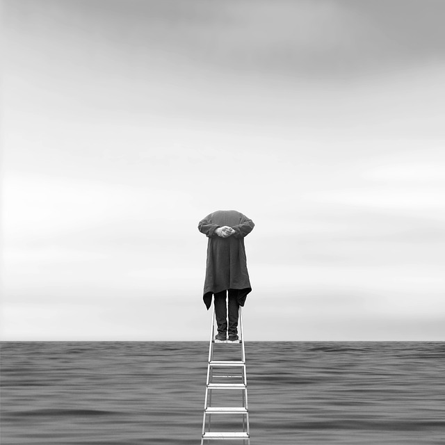 Harry Donovan tweet media